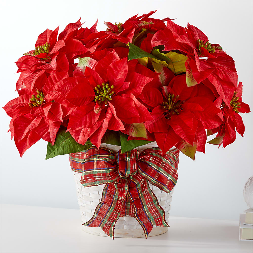 Happiest Holidays Poinsettia – Atkinson Florist, Thornhill ON