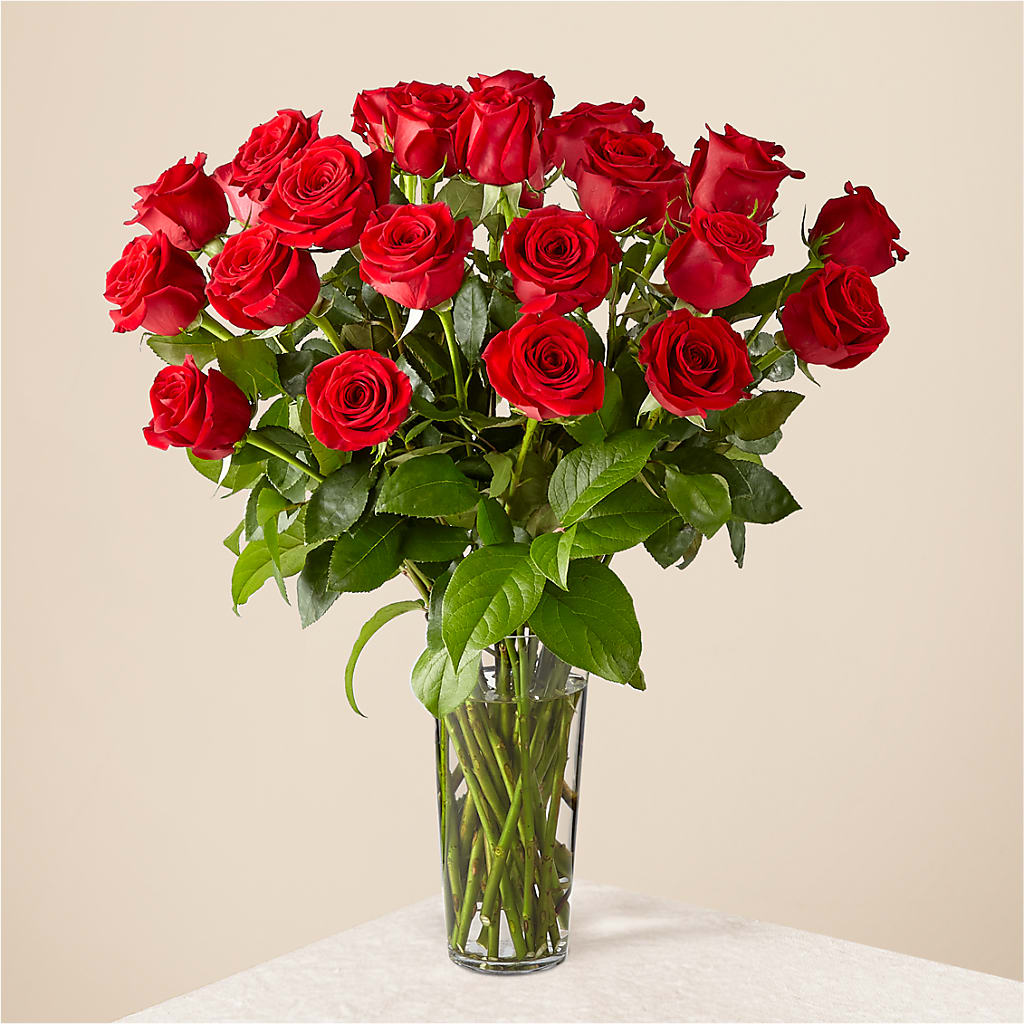 Long Stem Red Rose Bouquet – Atkinson Florist, Thornhill ON
