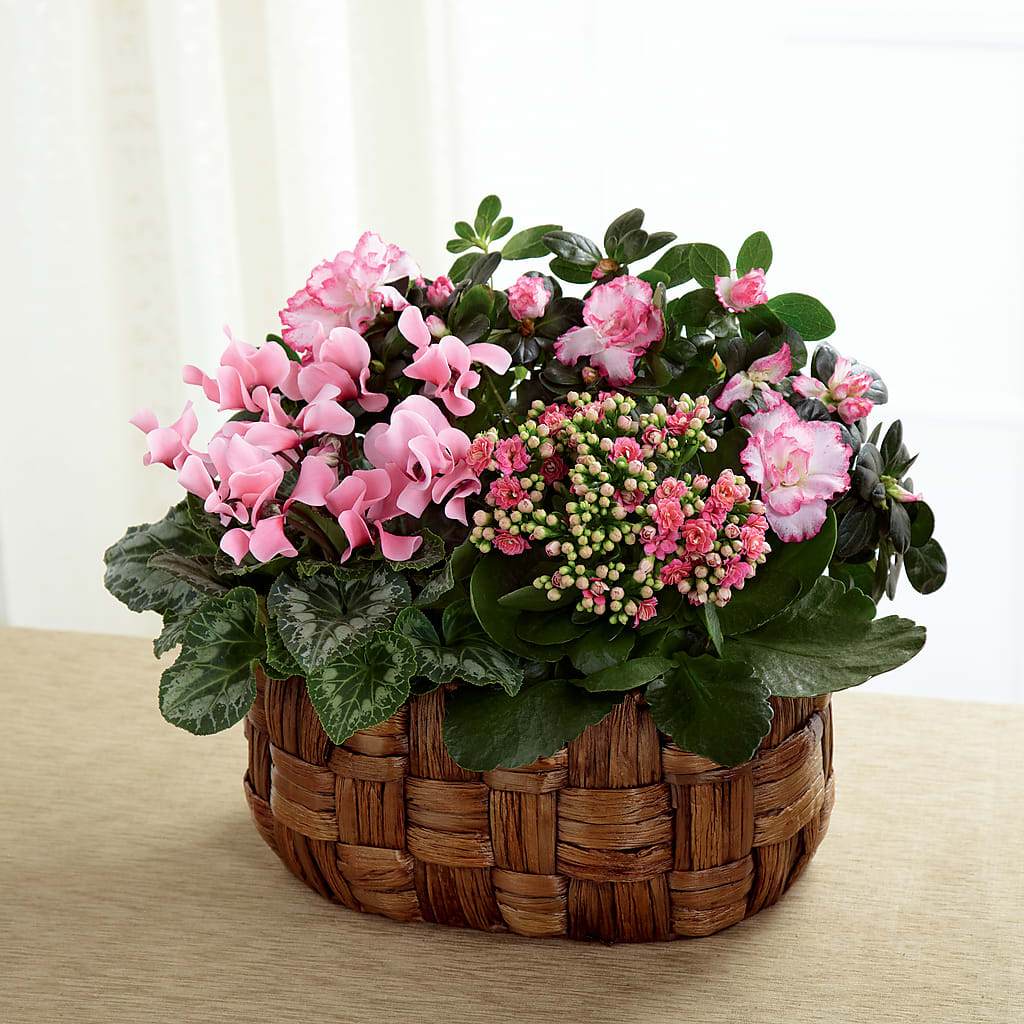 Pink Assortment – Atkinson Florist, Thornhill ON