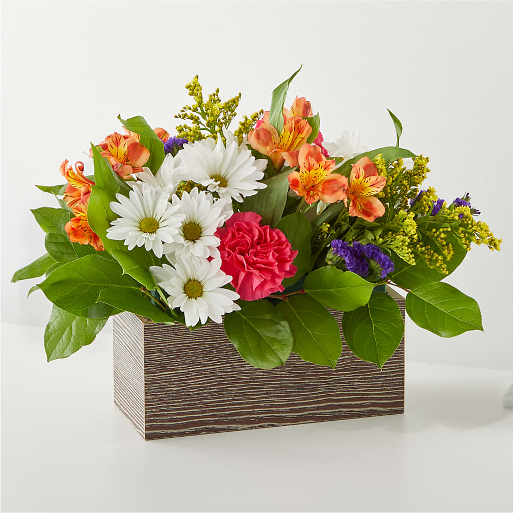 Oopsie Daisy Box Bouquet – Atkinson Florist, Thornhill ON