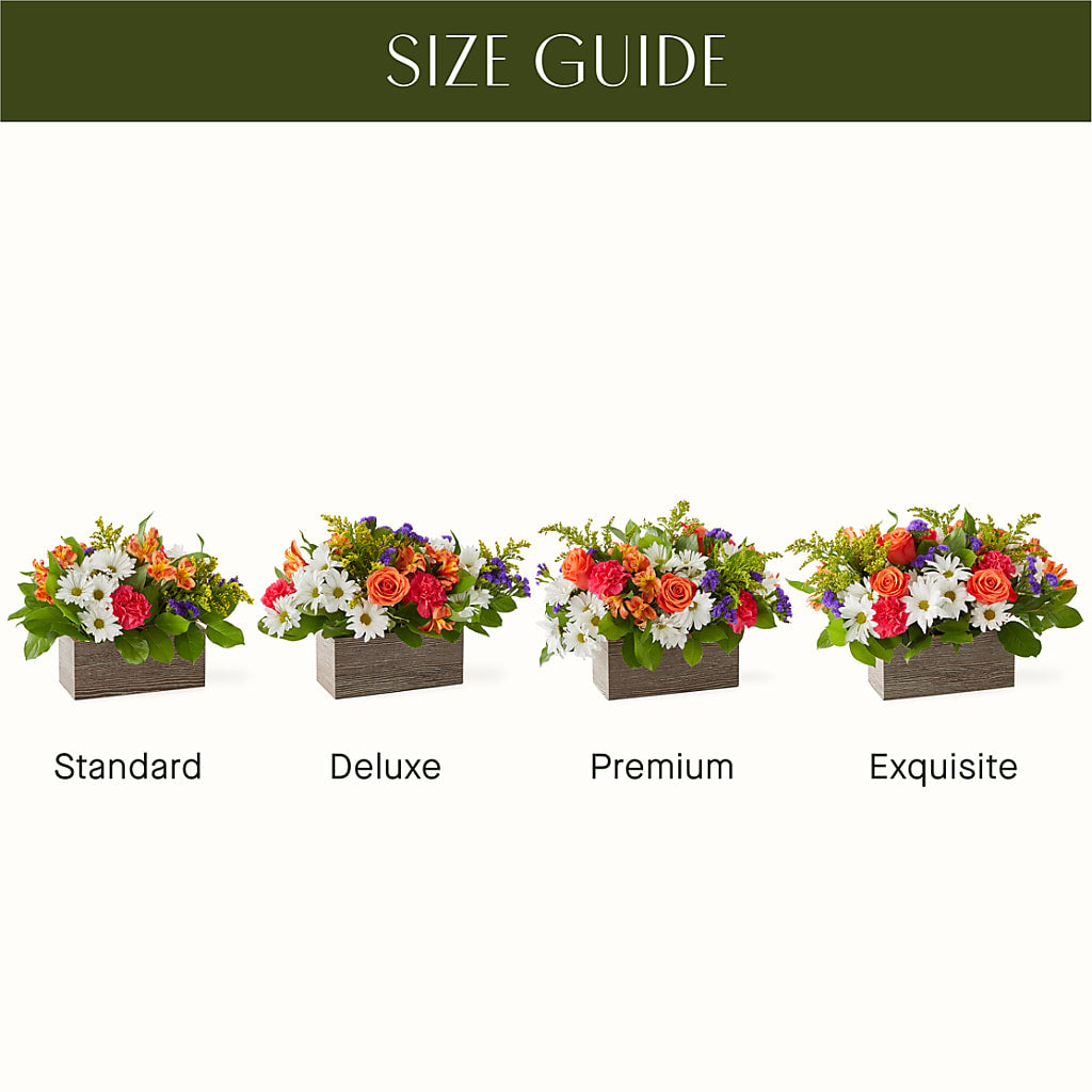Oopsie Daisy Box Bouquet – Atkinson Florist, Thornhill ON