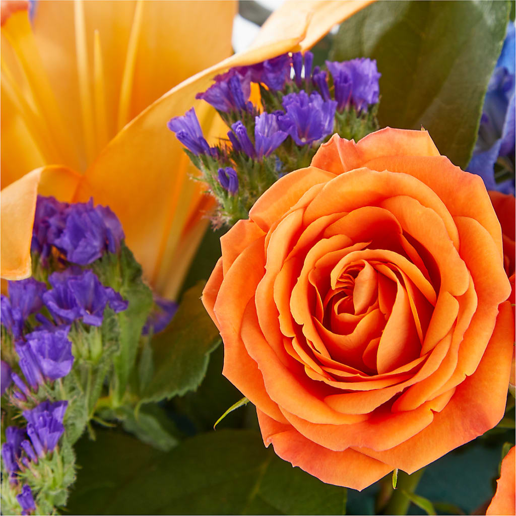 Radiant Citrus Box Bouquet – Atkinson Florist, Thornhill ON