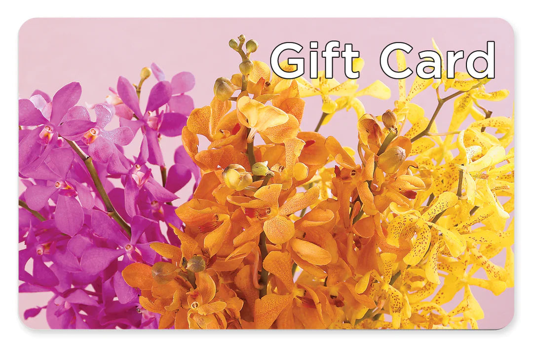 Gift Card – Atkinson Florist, Thornhill ON