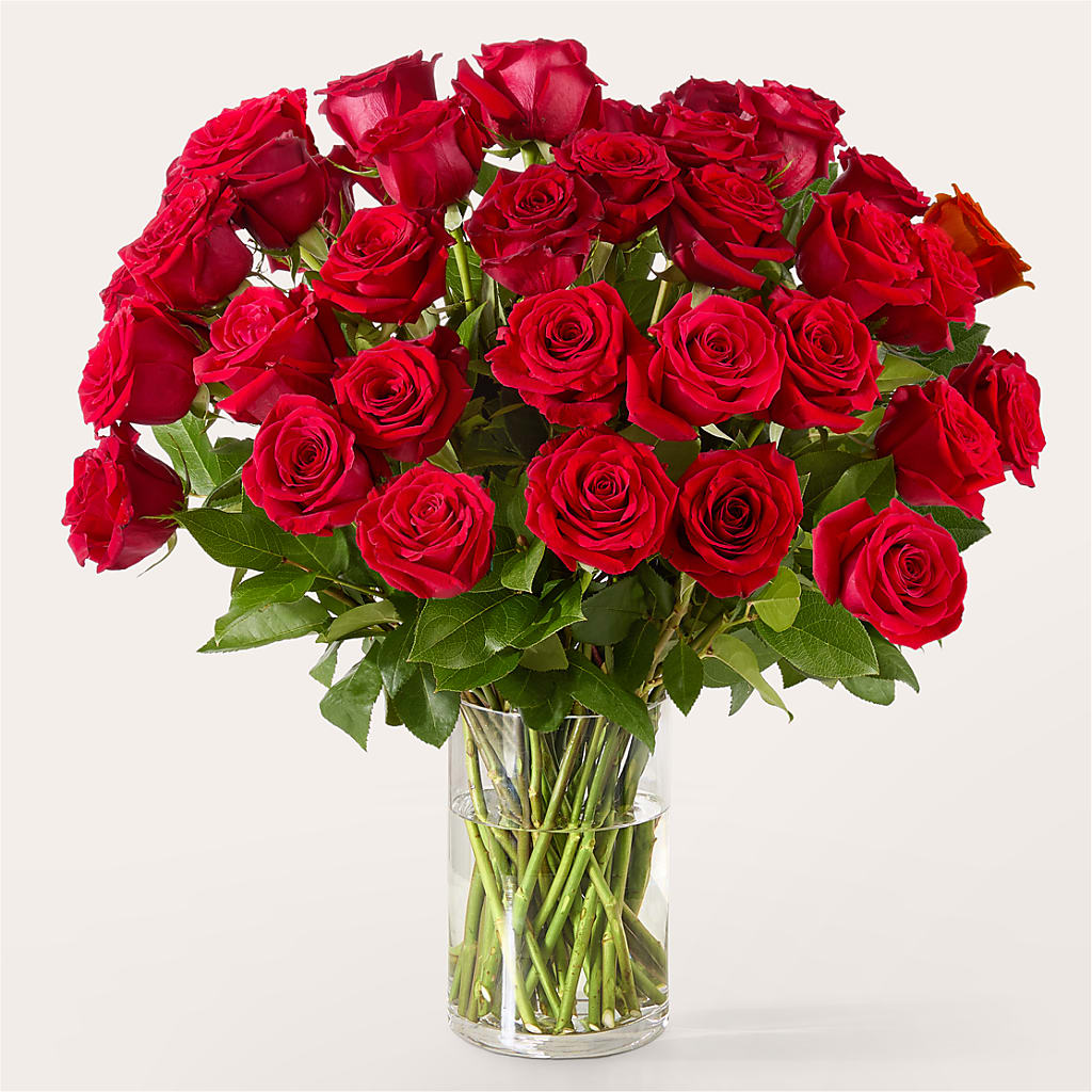 The One Red Rose Bouquet – Atkinson Florist, Thornhill ON