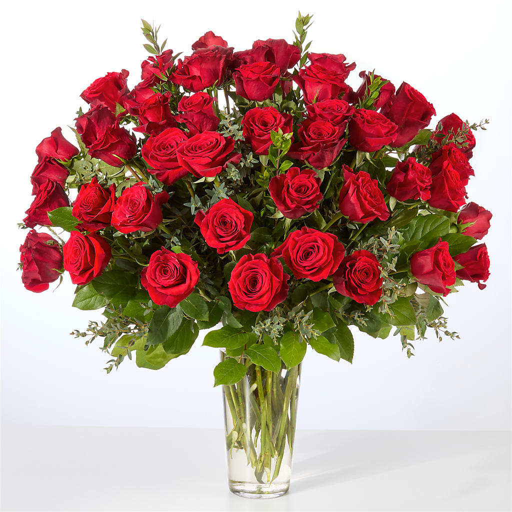 Forever Yours Fifty Stem Red Rose Bouquet – Atkinson Florist, Thornhill ON