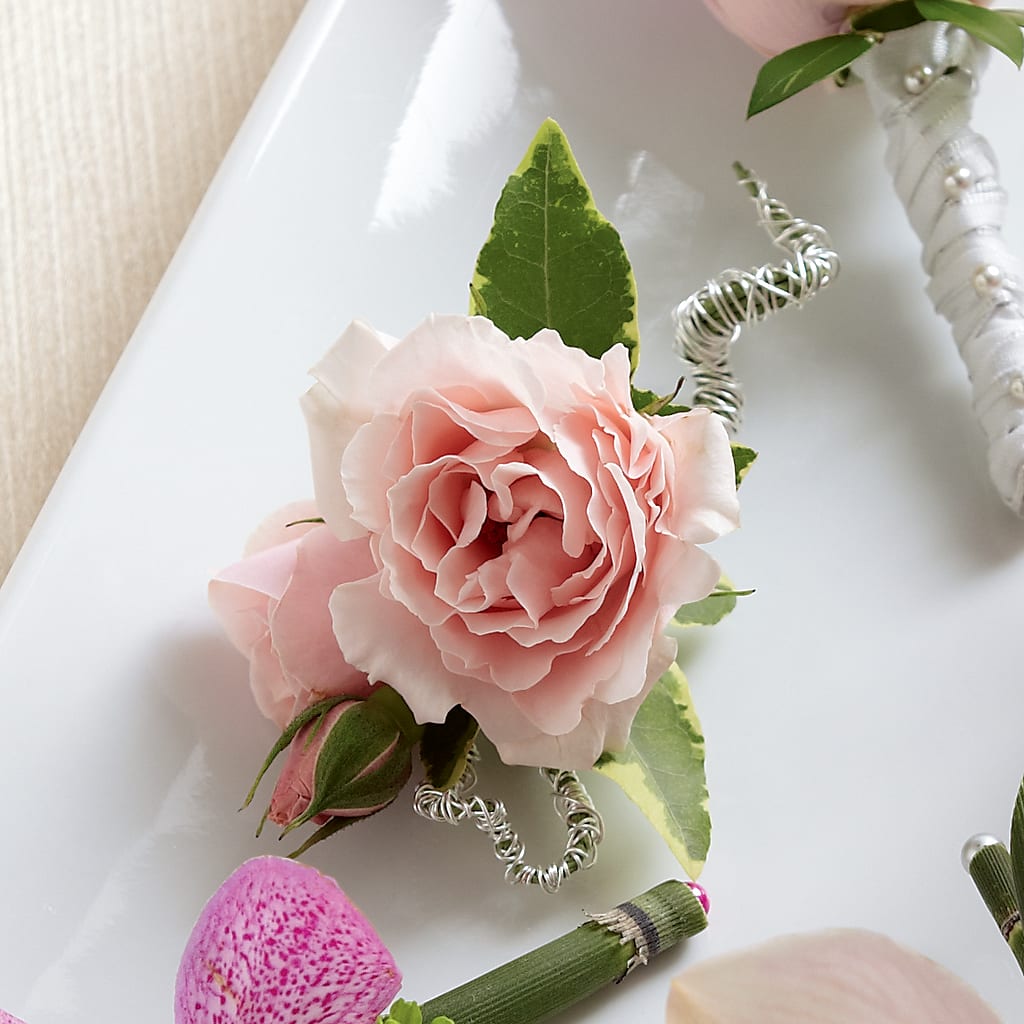 Pink Spray Rose Boutonniere – Atkinson Florist, Thornhill ON
