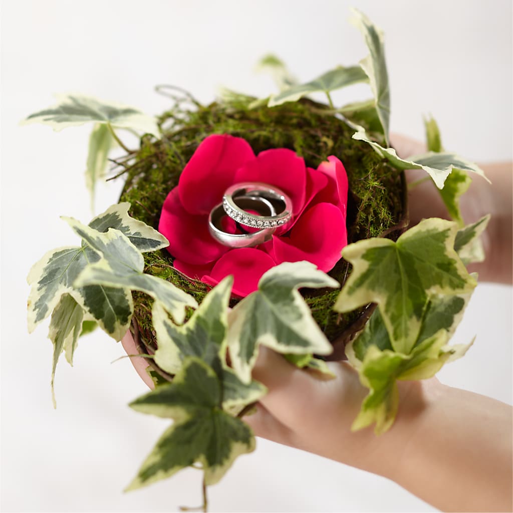 Lila Rose Ring Nest – Atkinson Florist, Thornhill ON