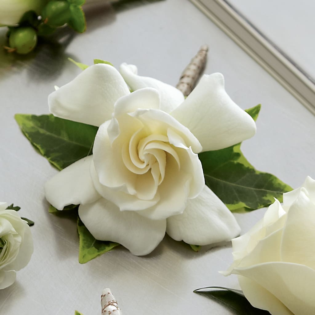 Gardenia Boutonniere – Atkinson Florist, Thornhill ON