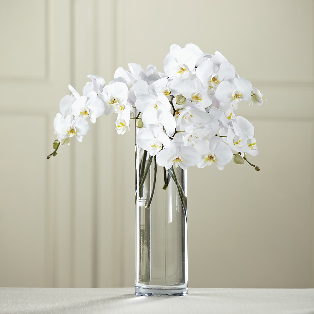 White Phalaenopsis Bouquet – Atkinson Florist, Thornhill ON