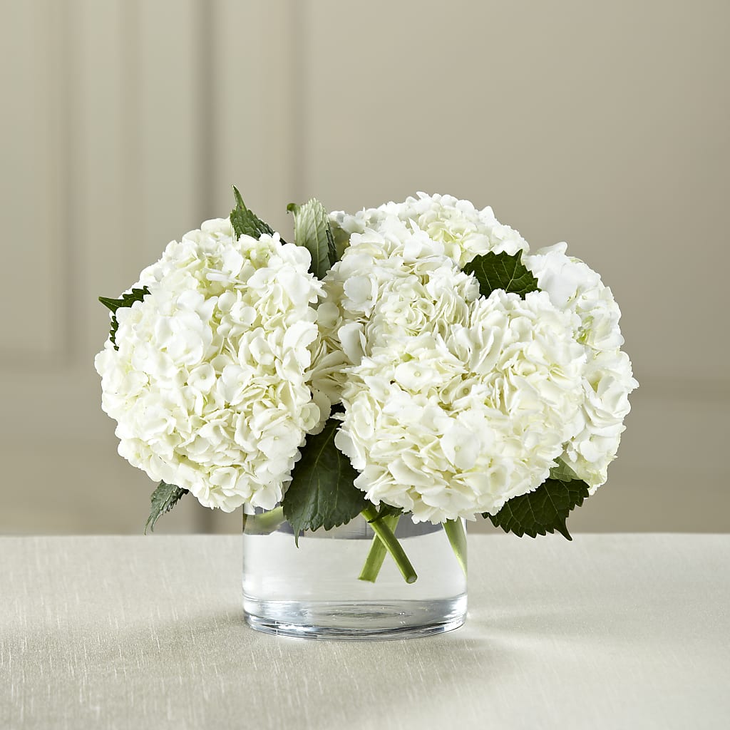 White Hydrangea Bouquet – Atkinson Florist, Thornhill ON