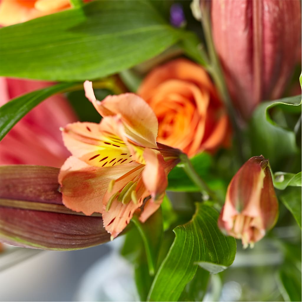 Bold & Bright – A Florist Original –  Atkinson Florist, Thornhill ON