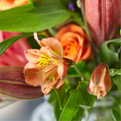 Bold & Bright – A Florist Original –  Atkinson Florist, Thornhill ON
