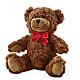 Adorable Plush Bear –  Atkinson Florist, Thornhill ON