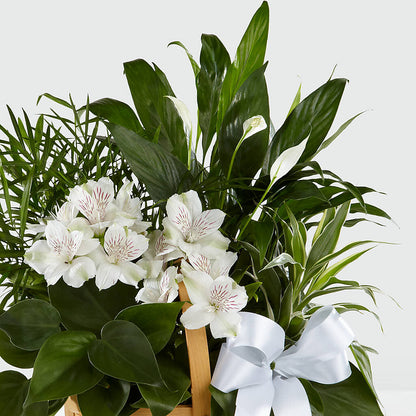 Peace & Serenity Dishgarden –  Atkinson Florist, Thornhill ON