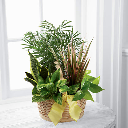 French Garden –  Atkinson Florist, Thornhill ON