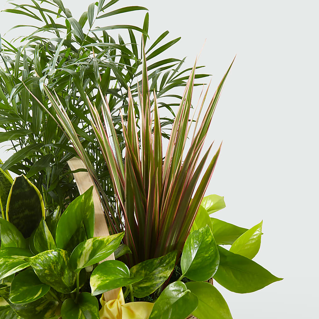 French Garden –  Atkinson Florist, Thornhill ON