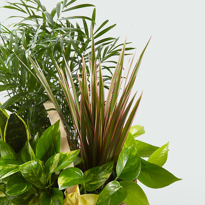 French Garden –  Atkinson Florist, Thornhill ON