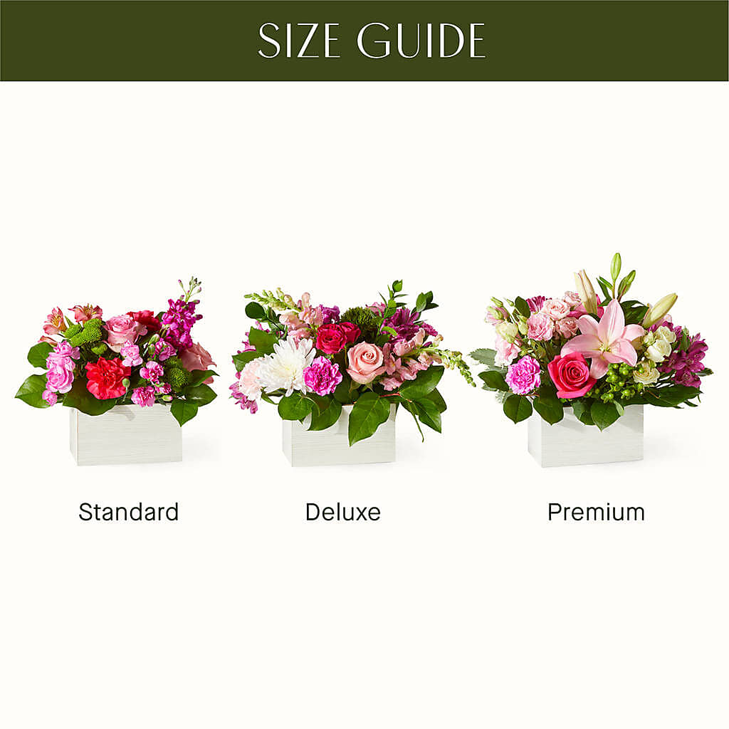 Sweetberry Box – A Florist Original –  Atkinson Florist, Thornhill ON
