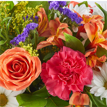 Oopsie Daisy Box Bouquet –  Atkinson Florist, Thornhill ON