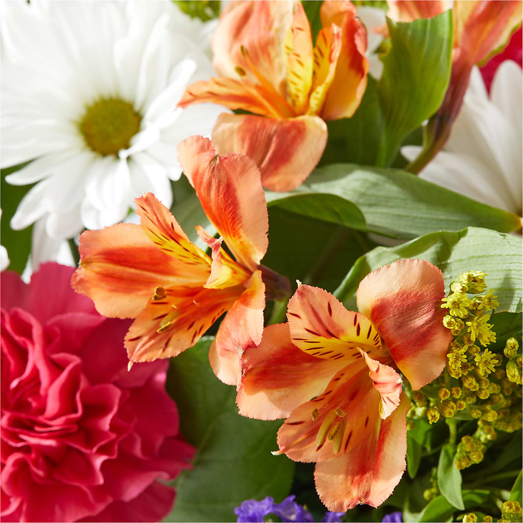 Oopsie Daisy Box Bouquet –  Atkinson Florist, Thornhill ON