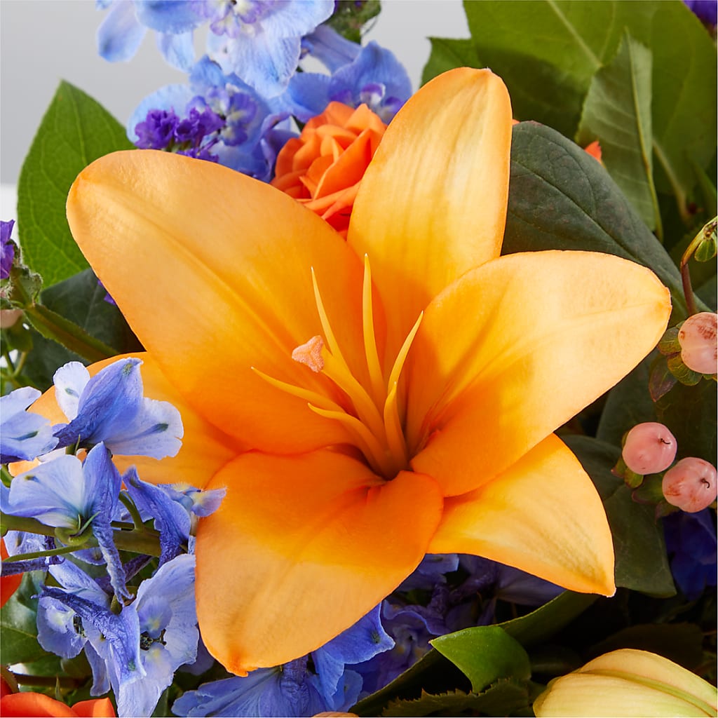 Radiant Citrus Box Bouquet –  Atkinson Florist, Thornhill ON