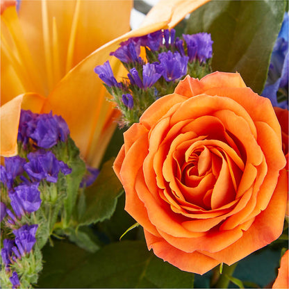 Radiant Citrus Box Bouquet –  Atkinson Florist, Thornhill ON