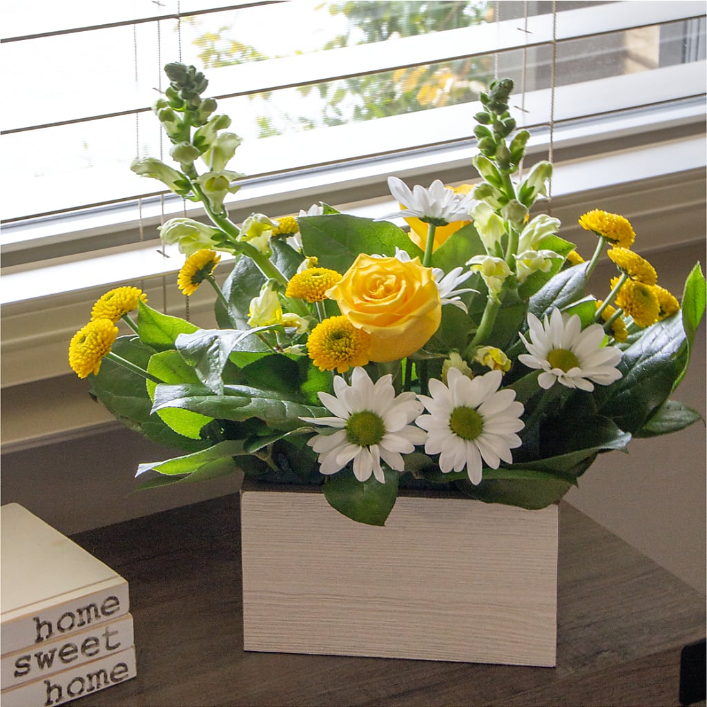 Sun Salutation Box Bouquet –  Atkinson Florist, Thornhill ON