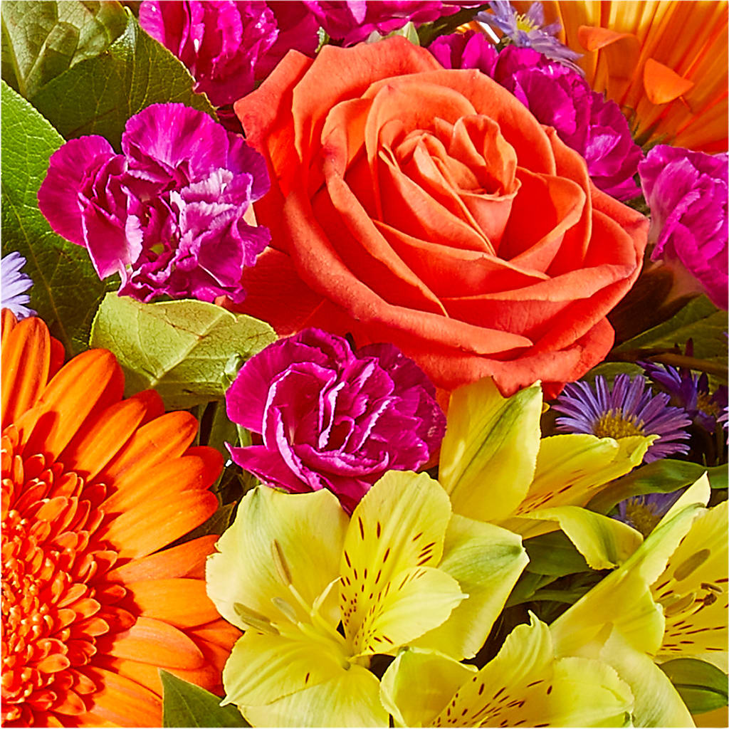 Tricks & Treats Pumpkin –  Atkinson Florist, Thornhill ON