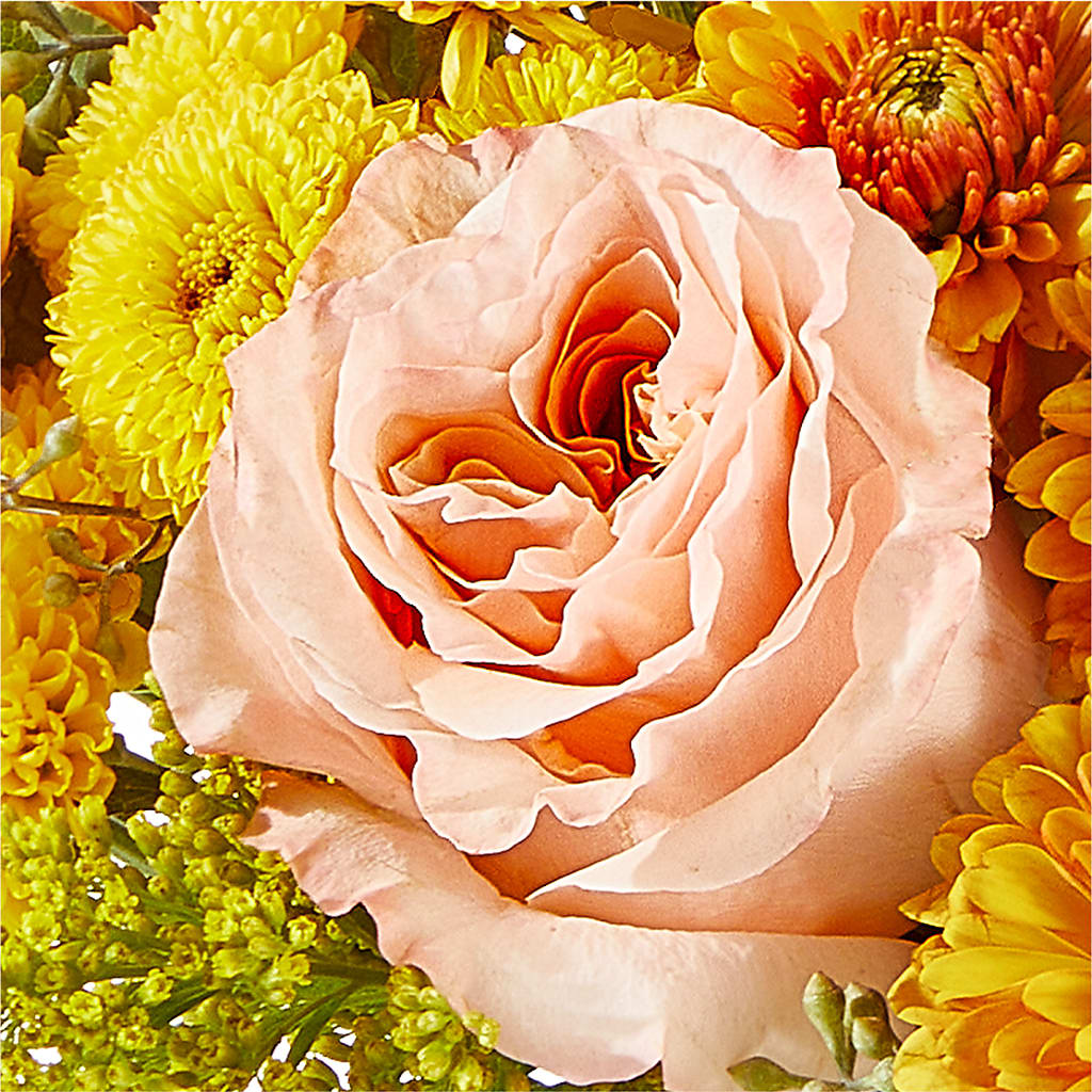 Peachy Pumpkin –  Atkinson Florist, Thornhill ON