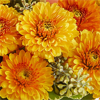 Peachy Pumpkin –  Atkinson Florist, Thornhill ON