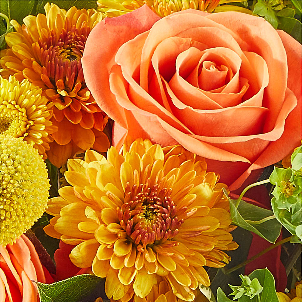 Gourdgeous Pumpkin –  Atkinson Florist, Thornhill ON