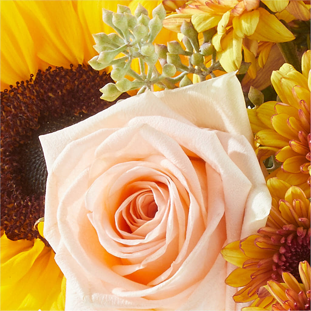 Pumpkin to Talk About Bouquet –  Atkinson Florist, Thornhill ON