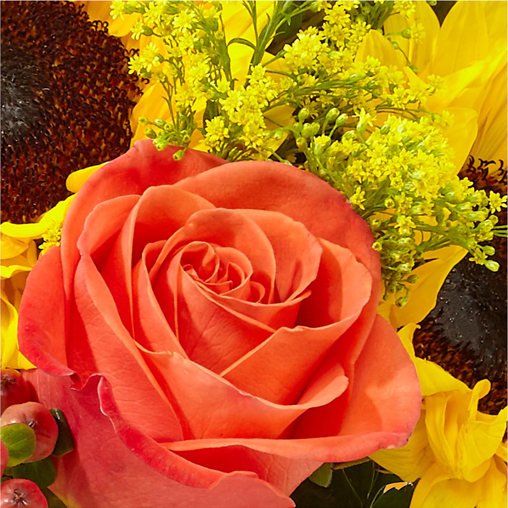 Pick of the Patch Pumpkin Bouquet –  Atkinson Florist, Thornhill ON