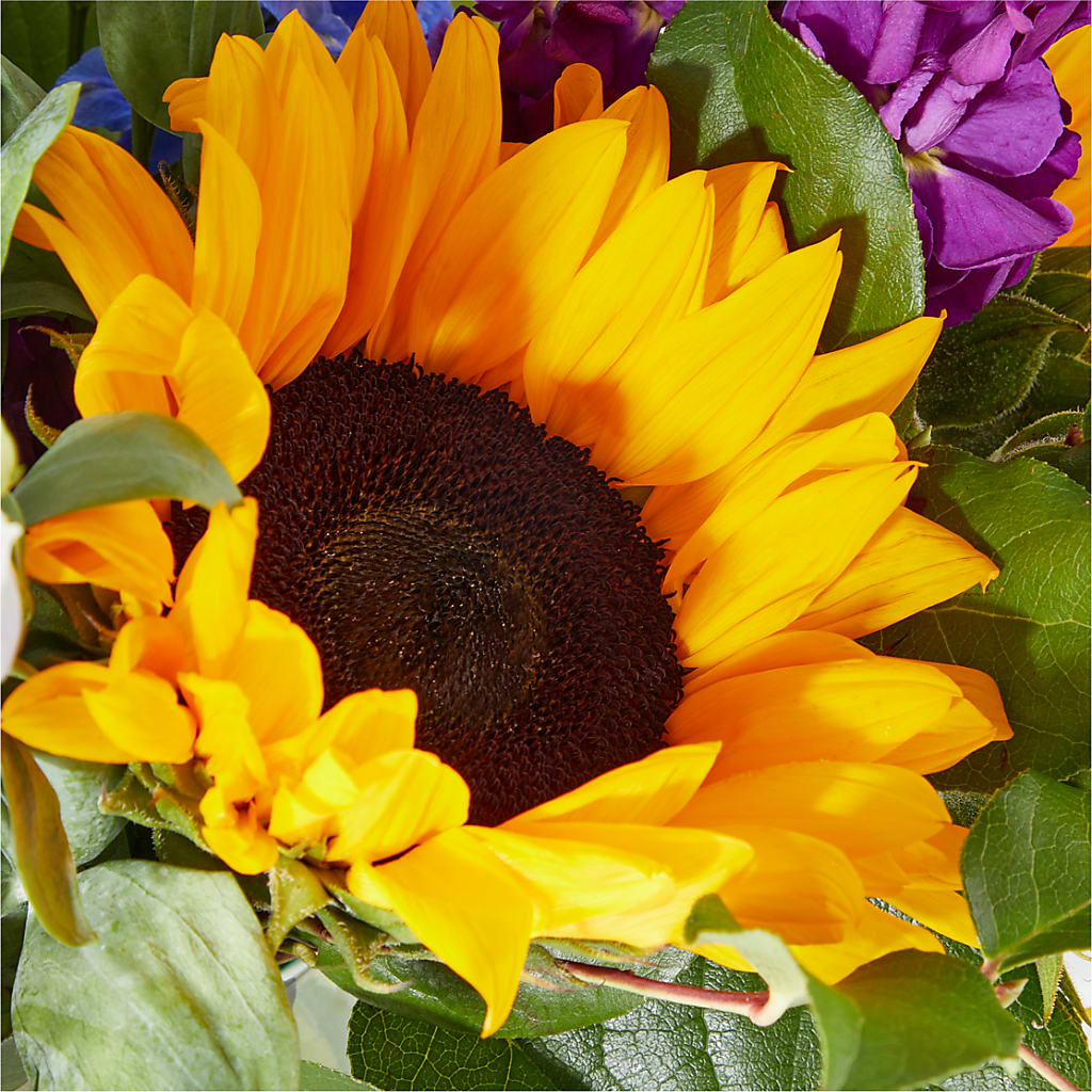Catching Rays Bouquet –  Atkinson Florist, Thornhill ON