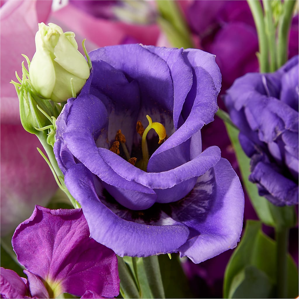 Twilight Glow Bouquet –  Atkinson Florist, Thornhill ON