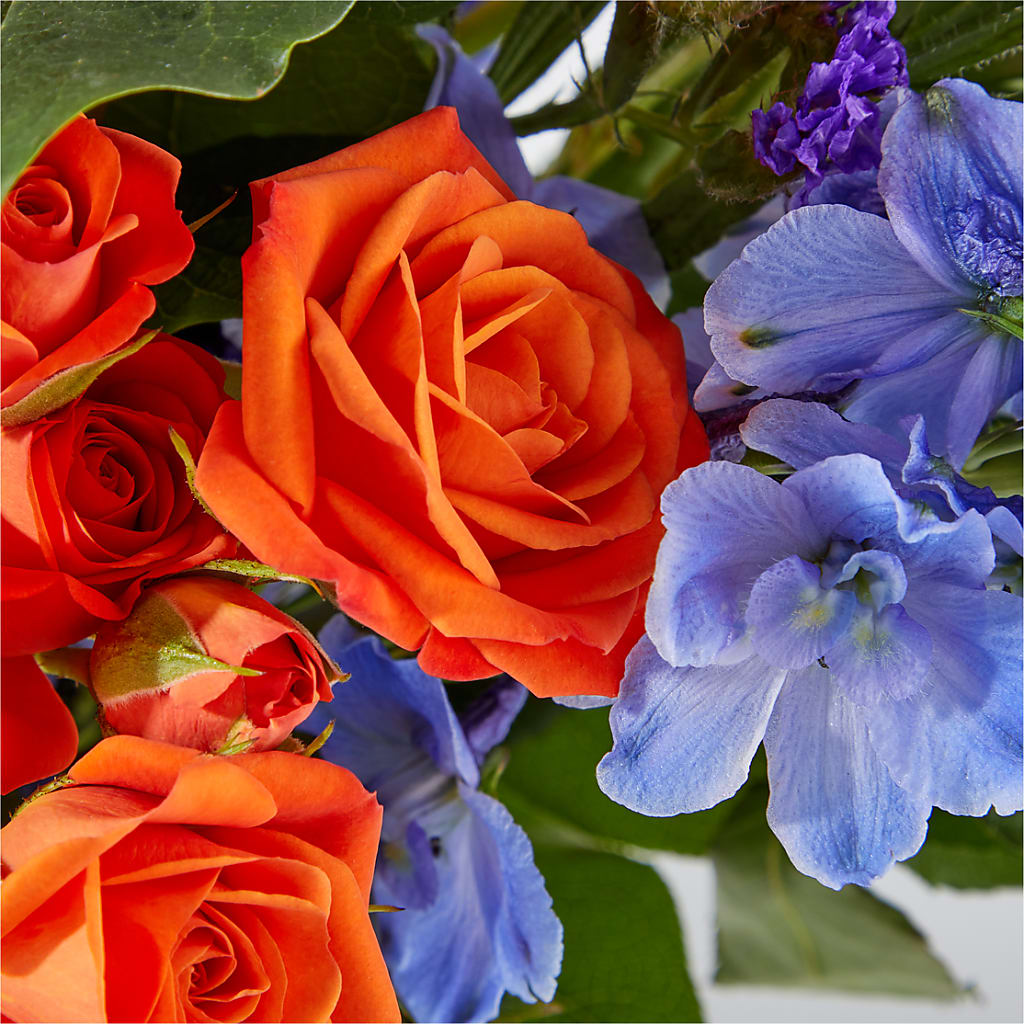 Radiant Citrus Bouquet –  Atkinson Florist, Thornhill ON