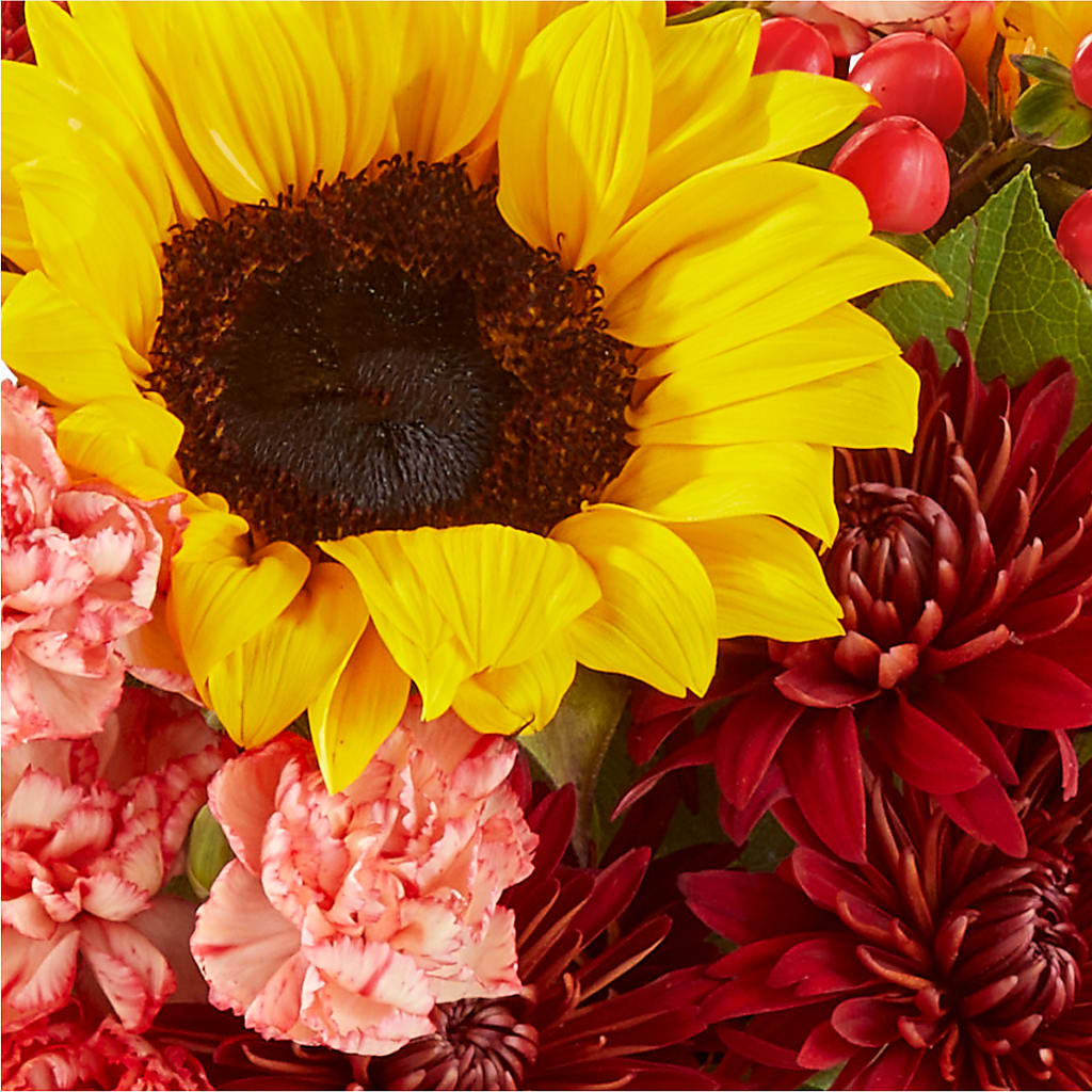 Fresh Cider Bouquet –  Atkinson Florist, Thornhill ON