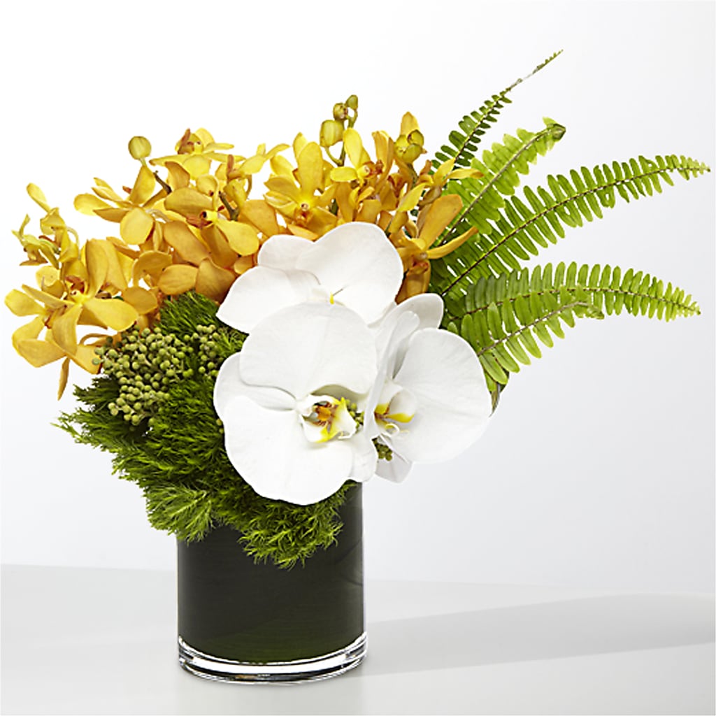 The Tropics –  Atkinson Florist, Thornhill ON