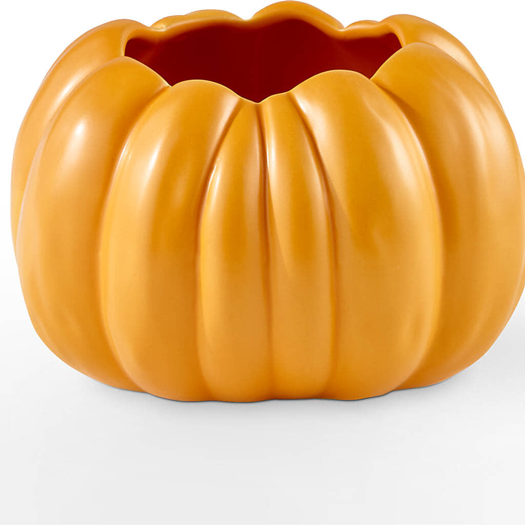 Golden Gourd Pumpkin Bouquet –  Atkinson Florist, Thornhill ON