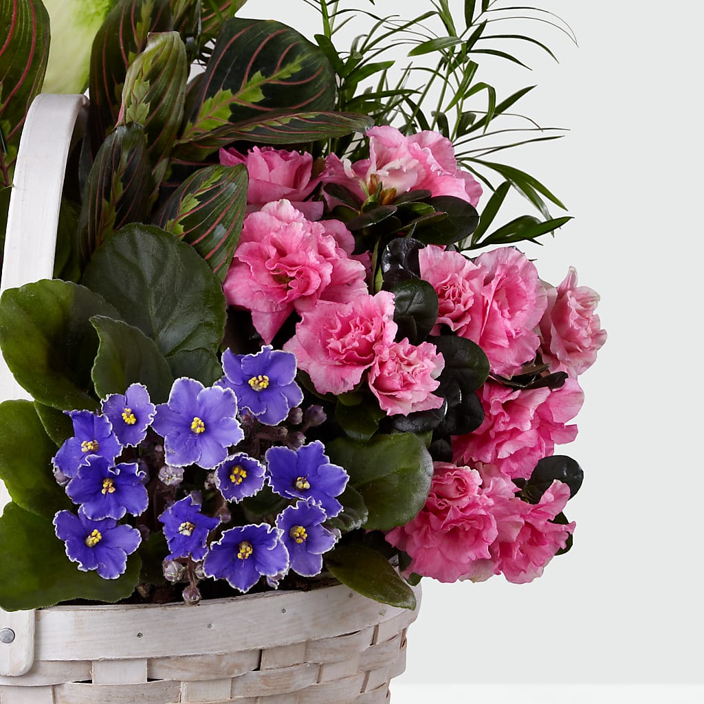 Peaceful Garden Planter –  Atkinson Florist, Thornhill ON