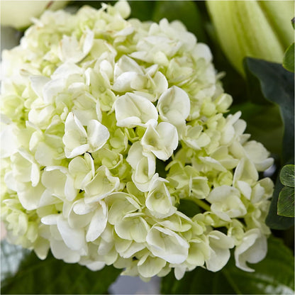 Classic Ivory – A Florist Original –  Atkinson Florist, Thornhill ON