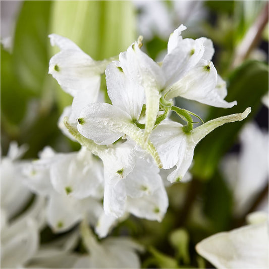 Classic Ivory – A Florist Original –  Atkinson Florist, Thornhill ON