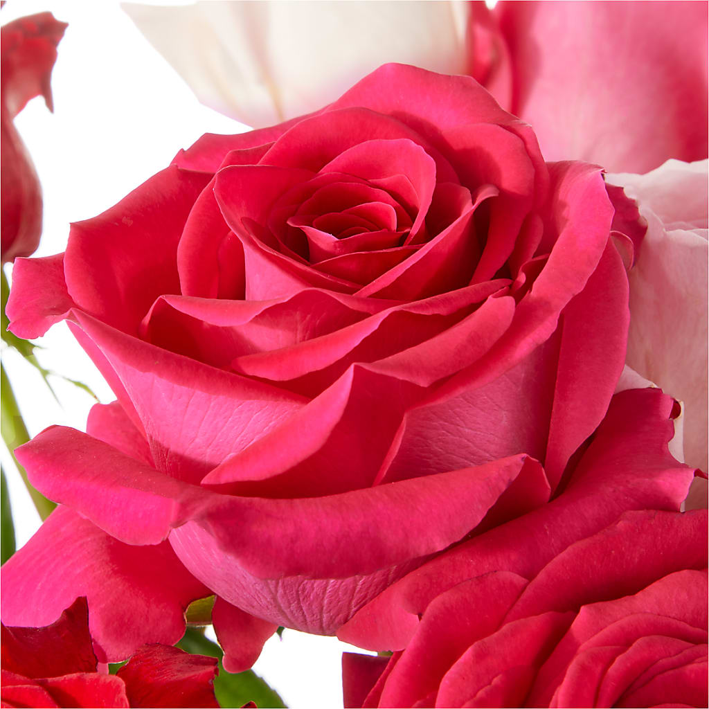 Love Notes Rose Bouquet –  Atkinson Florist, Thornhill ON