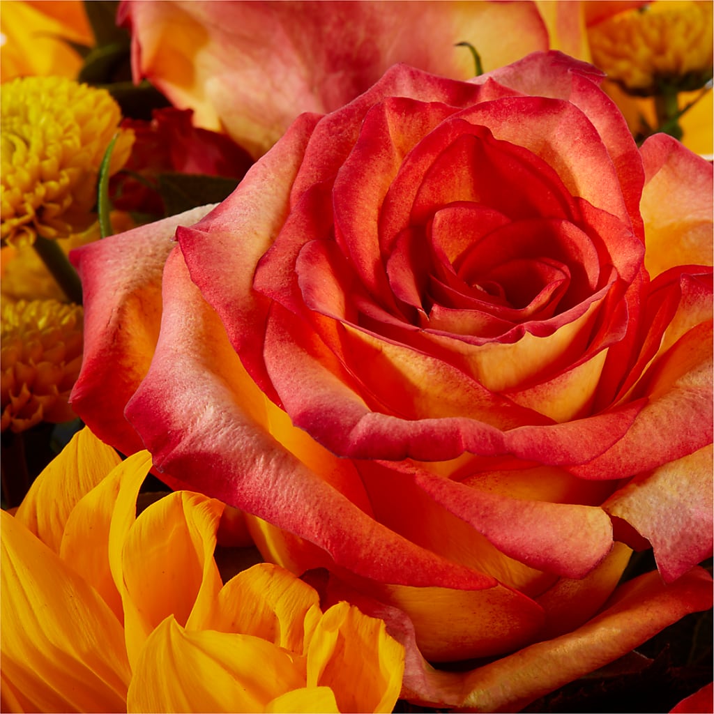 Picnic in the Park Bouquet –  Atkinson Florist, Thornhill ON