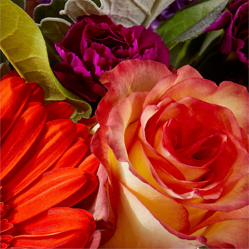 Sangria Bouquet –  Atkinson Florist, Thornhill ON