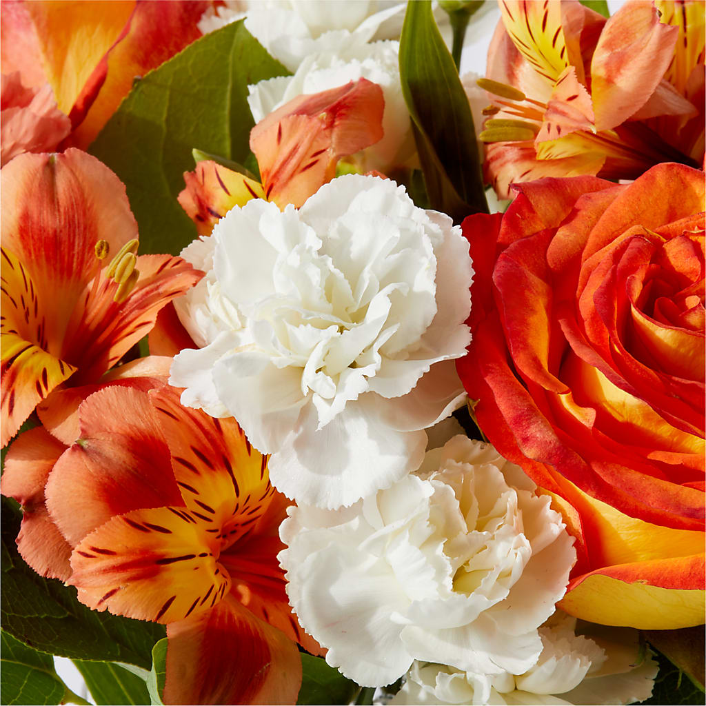 Apricot Glow Bouquet –  Atkinson Florist, Thornhill ON