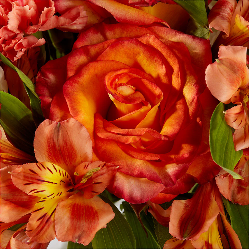 Apricot Glow Bouquet –  Atkinson Florist, Thornhill ON
