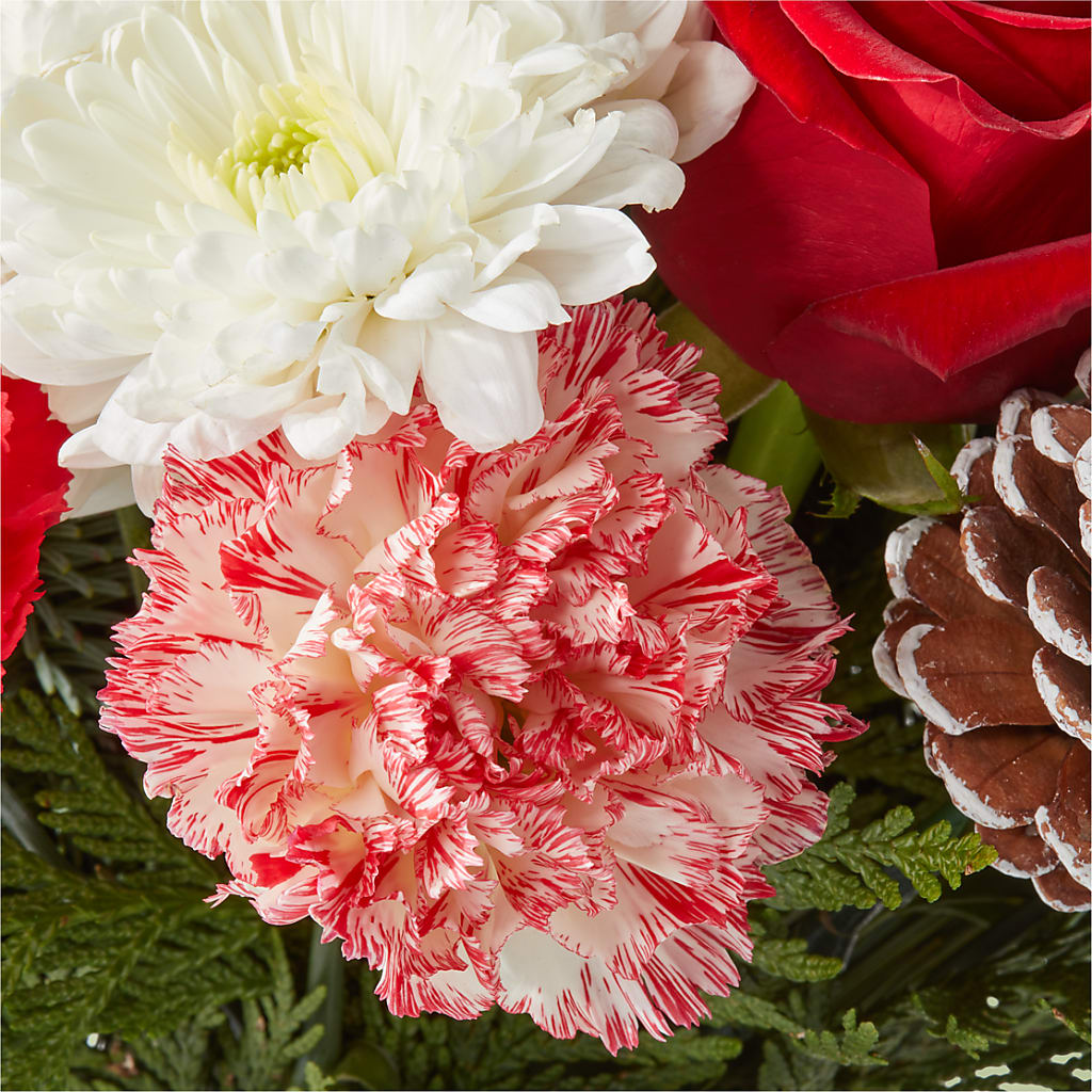 Candy Cane Lane Bouquet –  Atkinson Florist, Thornhill ON