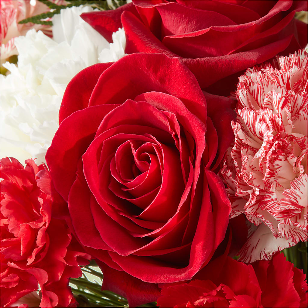 Candy Cane Lane Bouquet –  Atkinson Florist, Thornhill ON