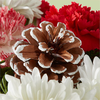 Candy Cane Lane Bouquet –  Atkinson Florist, Thornhill ON